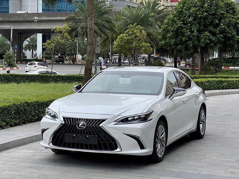 Nhiều vali và túi xách được sắp xếp gọn gàng trong khoang chứa hành lý dưới gầm xe khách, minh họa cho quy định về hành lý trên tuyến Lạng Sơn Mỹ Đình.